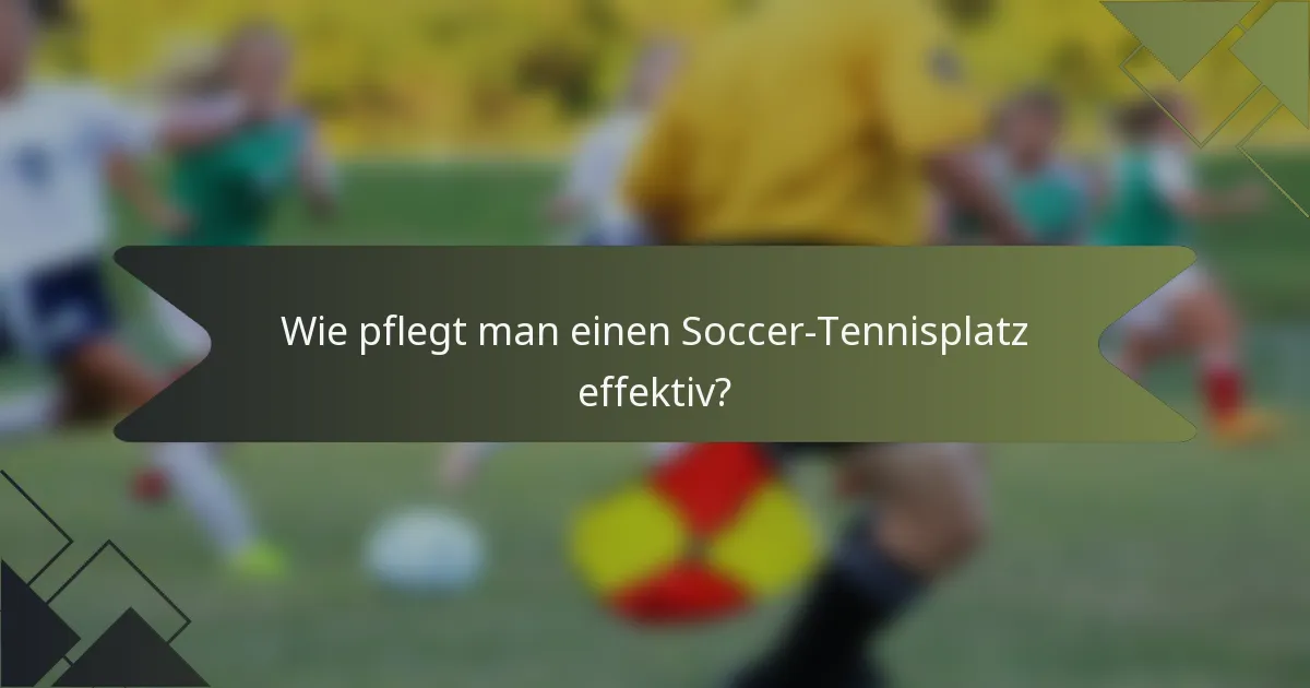 Wie pflegt man einen Soccer-Tennisplatz effektiv?